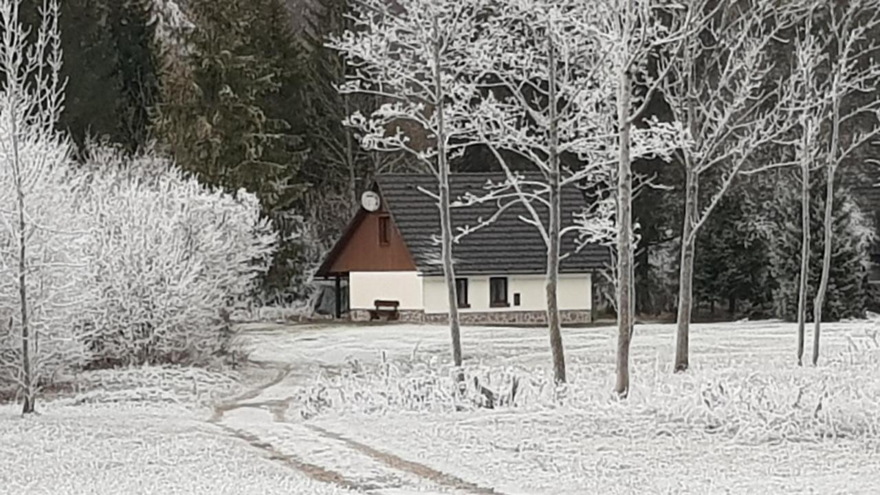 Pocitniska Hisa Taler Villa Bohinj Eksteriør bilde