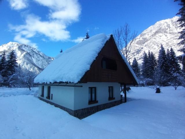 Pocitniska Hisa Taler Villa Bohinj Eksteriør bilde