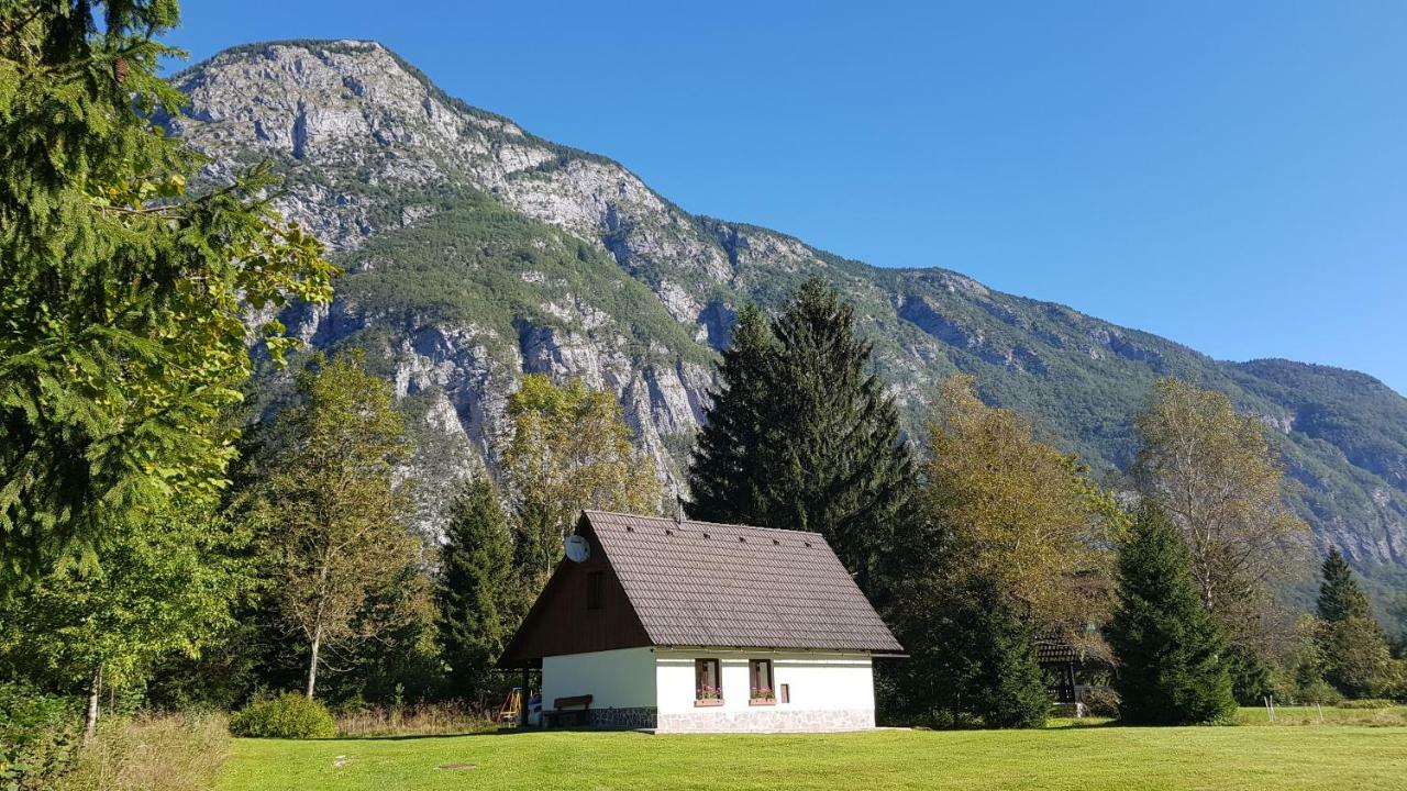 Pocitniska Hisa Taler Villa Bohinj Eksteriør bilde